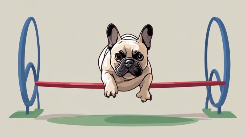 fitness for your frenchie