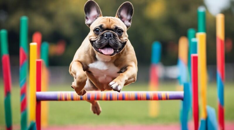 french bulldog fitness guide