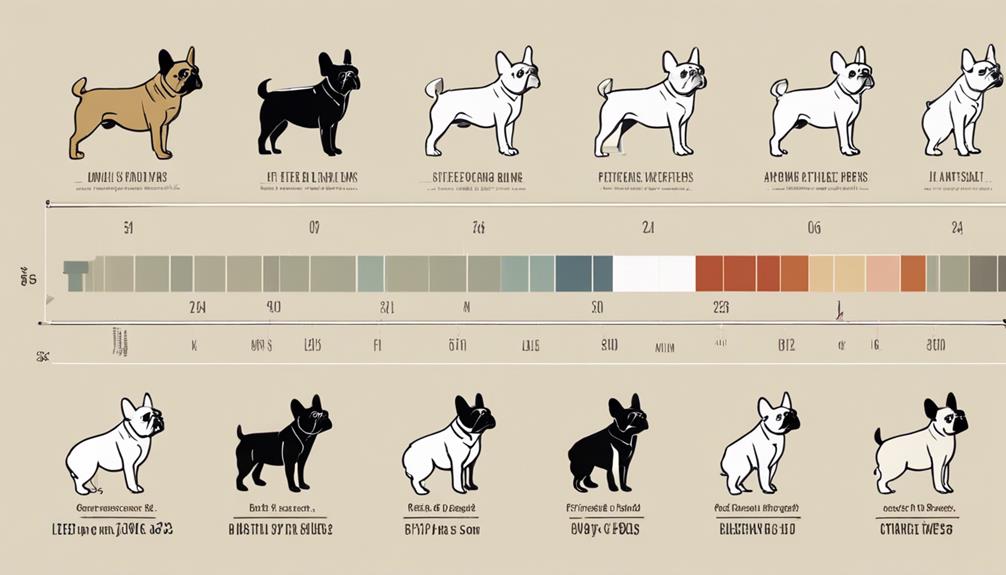 french bulldog life expectancy