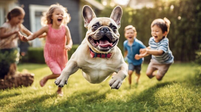 french bulldogs play with kids